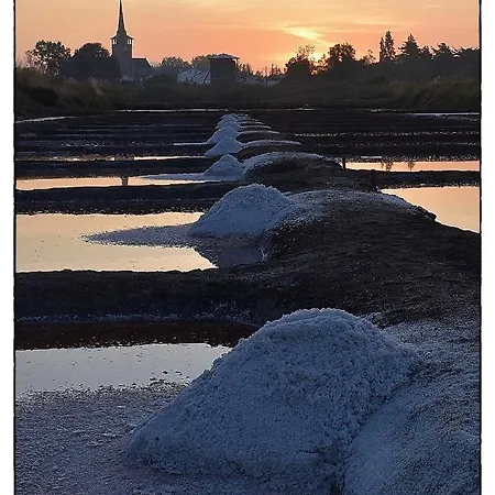 La Maison Cilaos - Proche 別荘