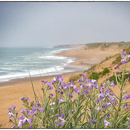 La Maison Cilaos - Proche * レ・サ​​ーブル・ドロンヌ