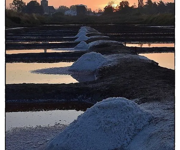 La Maison Cilaos - Proche 펜션